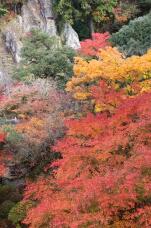 183643_1.jpg  : 387 KB