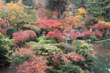 183643_2.jpg  : 370 KB