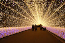 183676_1.jpg  : 179 KB