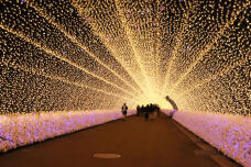 183676_2.jpg  : 181 KB