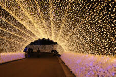 183676_3.jpg  : 182 KB