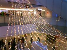 183678_2.jpg  : 128 KB