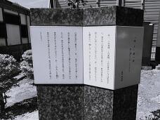 183690_3.jpg  : 91 KB