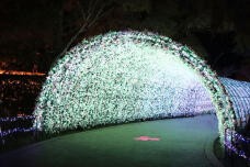 183702_2.jpg  : 105 KB