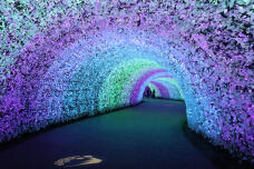 183702_3.jpg  : 145 KB