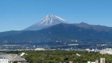 183703_1.jpg  : 82 KB