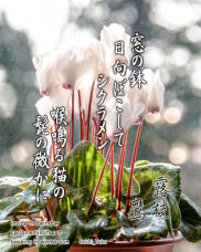 183708_1.jpg  : 214 KB