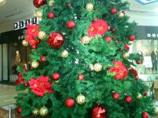 183709_1.jpg  : 180 KB