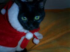 183709_2.jpg  : 169 KB