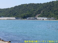 183729_3.jpg  : 61 KB