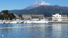 183734_1.jpg  : 130 KB