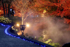 183736_1.jpg  : 103 KB