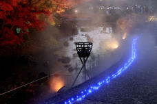 183736_2.jpg  : 70 KB