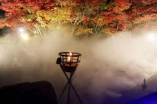 183736_3.jpg  : 71 KB