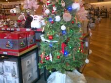 183742_1.jpg  : 123 KB