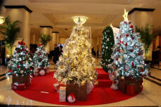 183757_3.jpg  : 101 KB