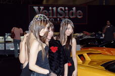 183764_2.jpg  : 125 KB