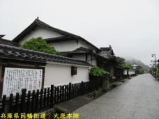 183770_1.jpg  : 49 KB