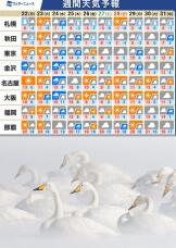 183772_1.jpg  : 176 KB