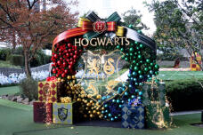 183774_1.jpg  : 146 KB