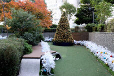 183774_3.jpg  : 139 KB