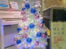 183778_1.jpg  : 122 KB