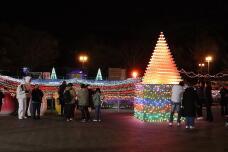 183779_1.jpg  : 117 KB