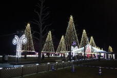 183779_2.jpg  : 127 KB