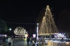 183797_1.jpg  : 99 KB