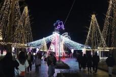 183797_2.jpg  : 127 KB