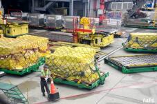 183800_2.jpg  : 95 KB