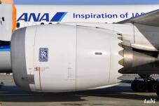 183800_8.jpg  : 37 KB