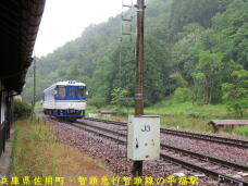 183821_3.jpg  : 79 KB