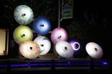 183833_3.jpg  : 71 KB