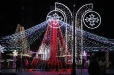 183835_2.jpg  : 145 KB