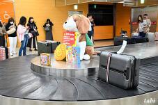 183837_4.jpg  : 79 KB