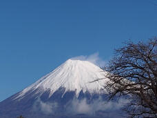 183846_1.jpg  : 144 KB