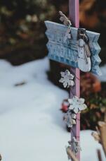 183848_1.jpg  : 41 KB