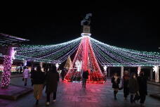 183872_1.jpg  : 144 KB