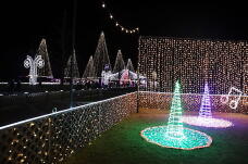 183891_1.jpg  : 139 KB