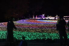 183891_2.jpg  : 126 KB