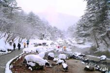 183894_3.jpg  : 98 KB