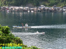 183896_1.jpg  : 83 KB