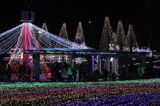 183905_1.jpg  : 209 KB