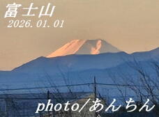 183947_2.jpg  : 65 KB