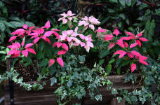 183989_3.jpg  : 120 KB