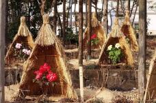 183994_1.jpg  : 175 KB