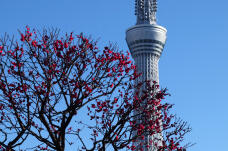 184007_1.jpg  : 342 KB