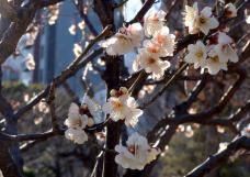 184007_2.jpg  : 368 KB