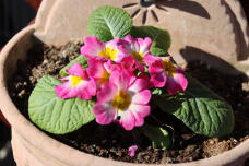 184034_2.jpg  : 84 KB